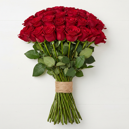 Ecuador Rose | Freedom | Wholesale Box | Farm-Direct