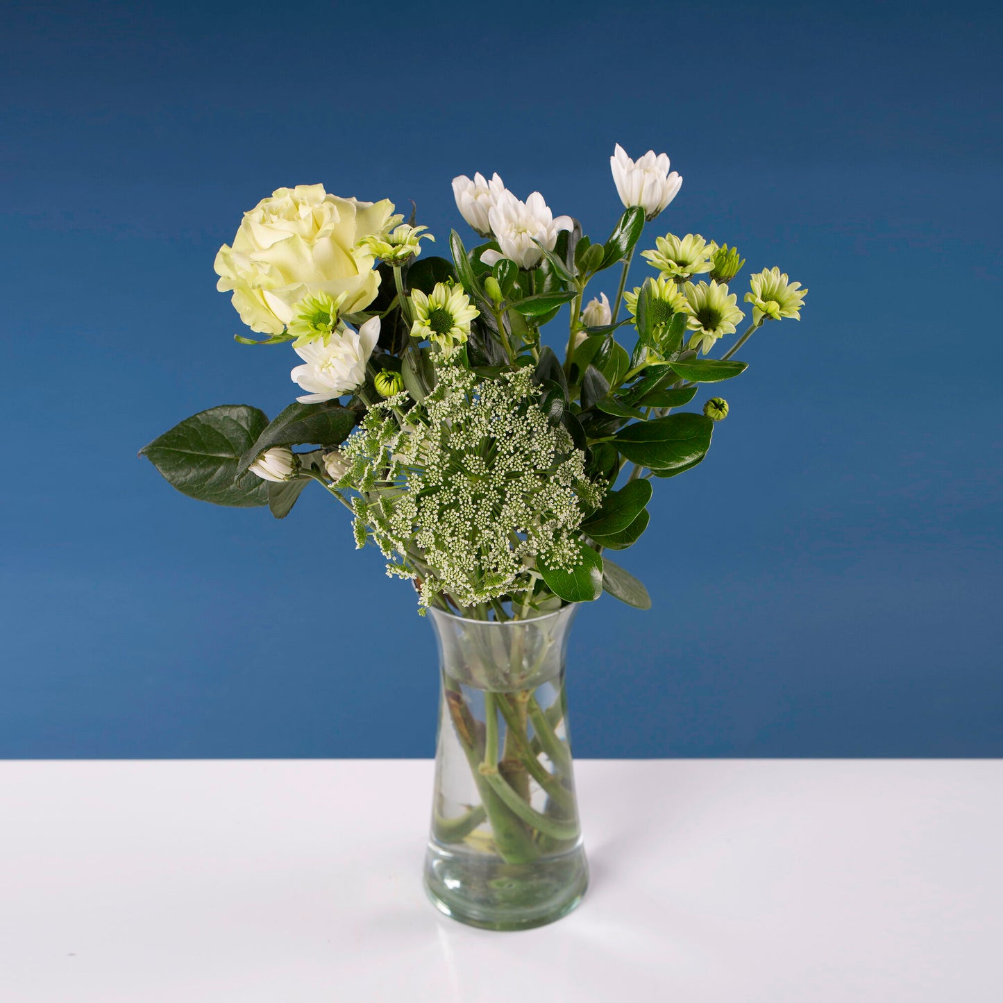 Brighten up small - 40cm