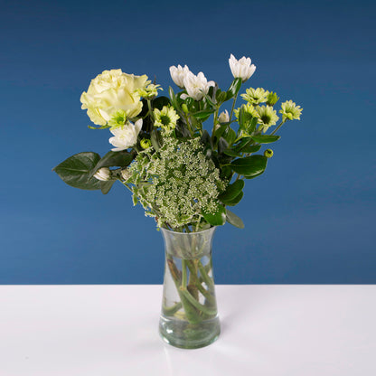 Brighten up small - 40cm