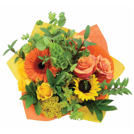 Magnificent Large 45cmcm - bf-magnificent-large-01.jpg