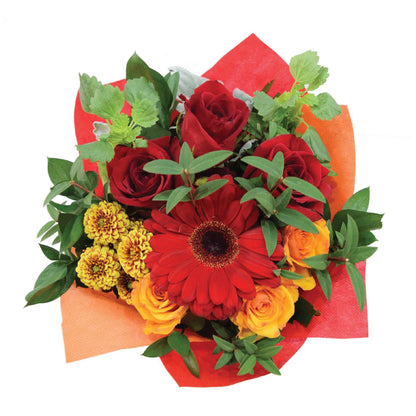 Magnificent Large 45cmcm - bf-magnificent-large-05.jpg